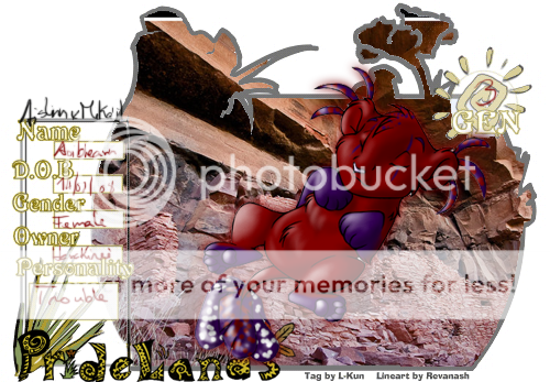 User Image
